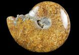 Polished, Agatized Ammonite (Cleoniceras) - Madagascar #97292-1